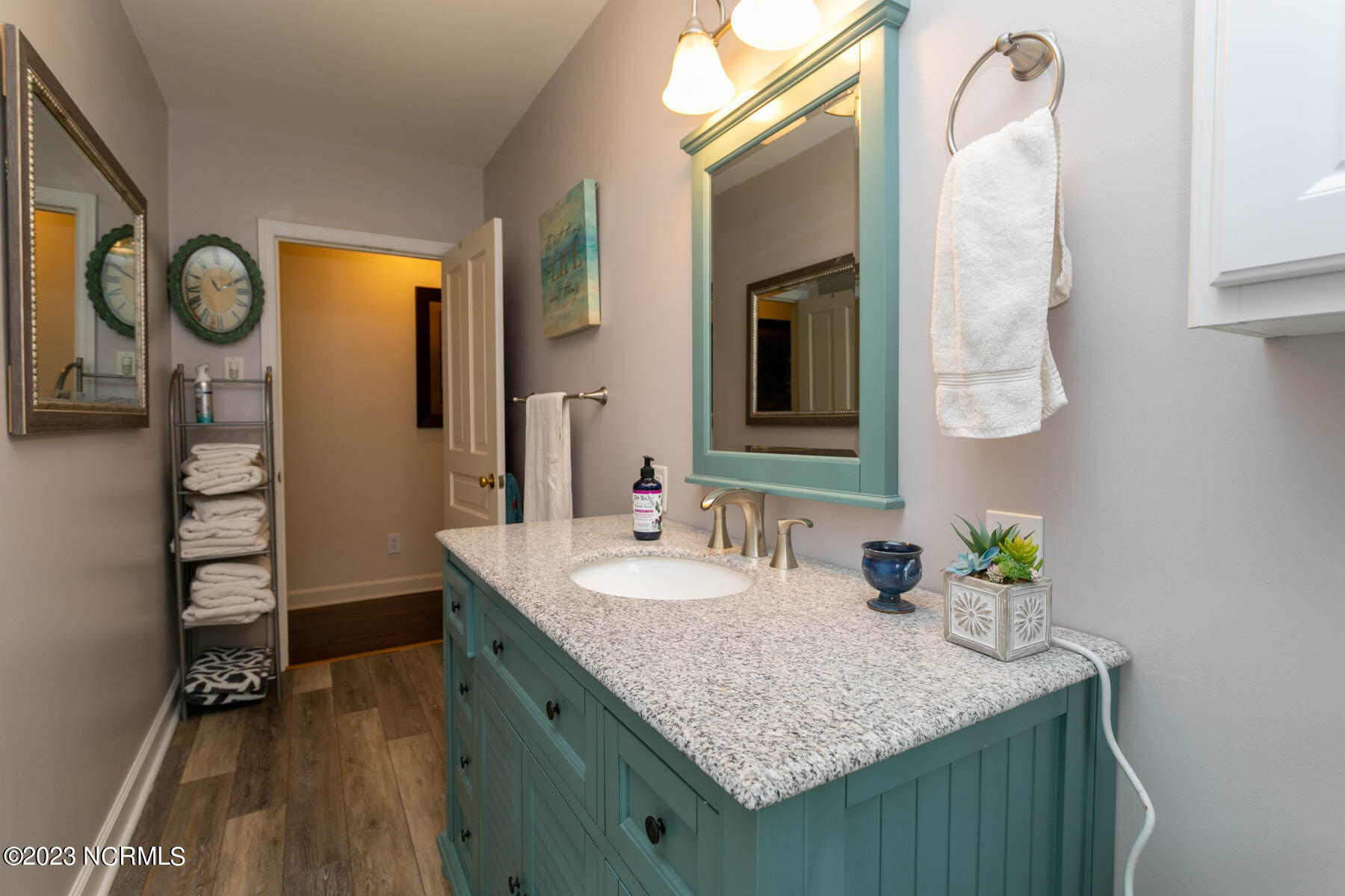 1259 Peace Road Carthage, NC 28327 - Photo 10 of 50 primary bath3