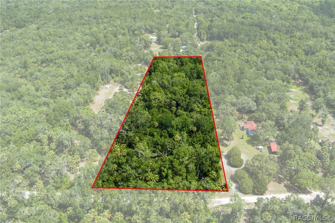 15085 West Rooster Crows Road Inglis, FL 34449 - Photo 3 of 16