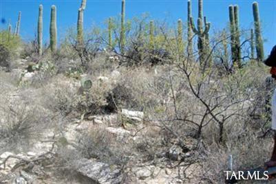 12265 East Coronado Road, Unit 46 Tucson, AZ 85749 - Photo 20 of 41