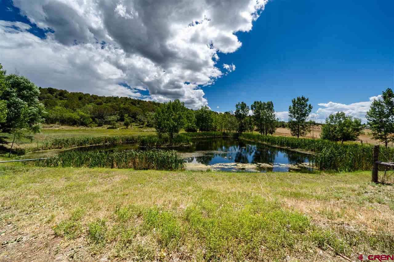 23981 Ute Trail Road Cedaredge, CO 81413 - Photo 6 of 34