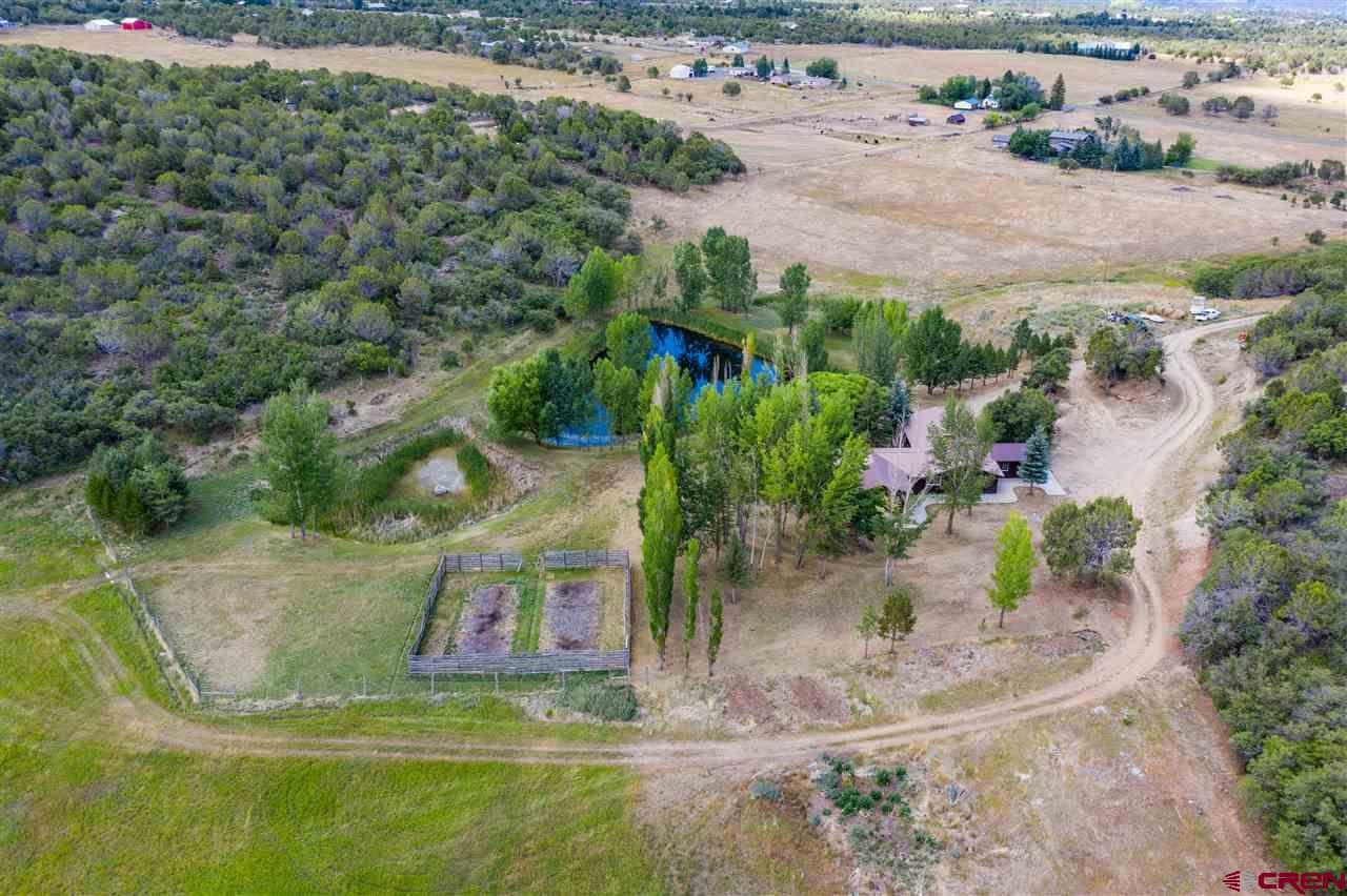 23981 Ute Trail Road Cedaredge, CO 81413 - Photo 9 of 34