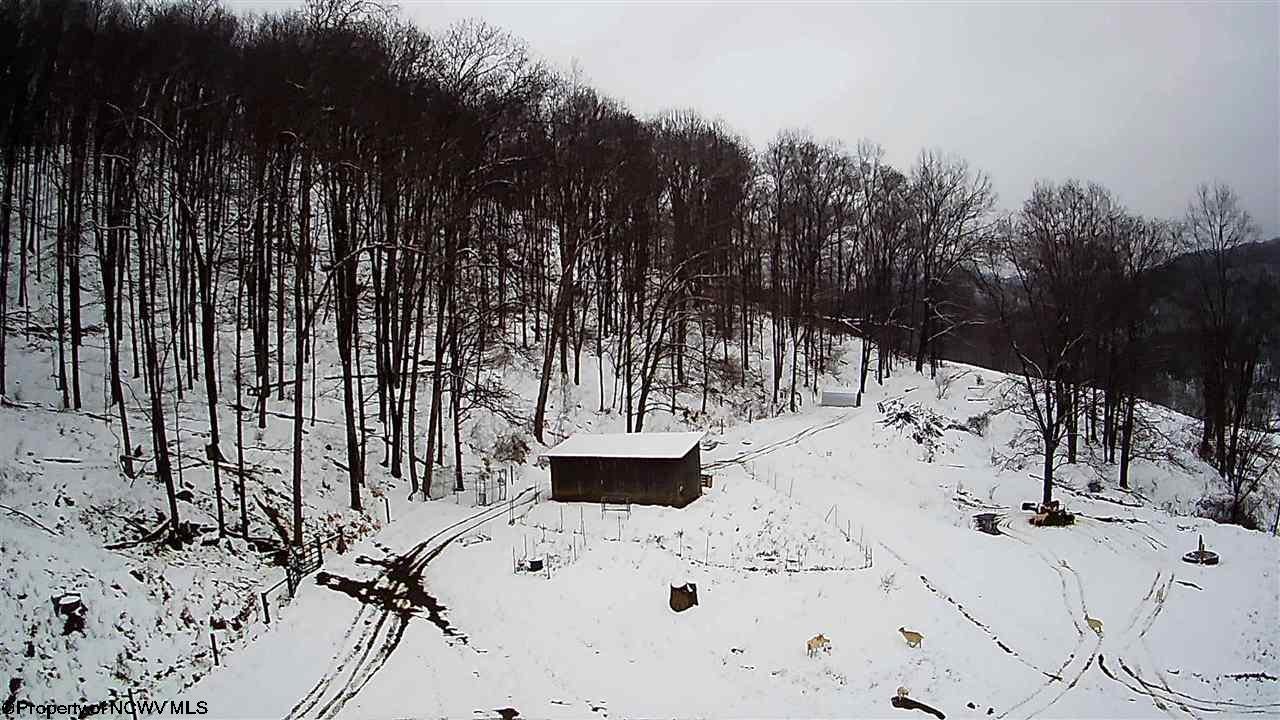 2276 Sassafras Run Road Weston, WV 26452 - Photo 19 of 30 Gallery Image 19
