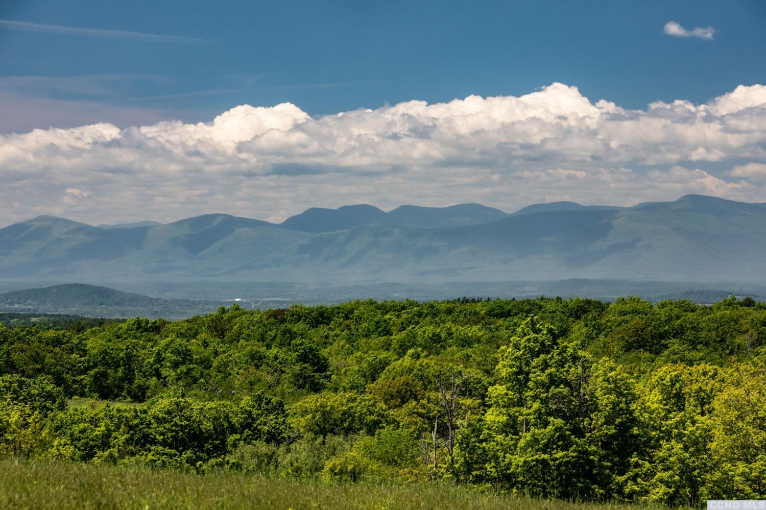 a view of a lush green mountain