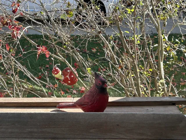 $334,900 | 701 East 2nd Avenue, Brodhead, WI 53520