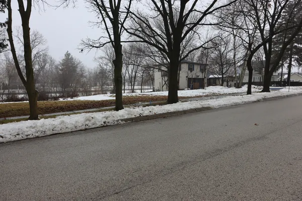 a view of large house with a large tree