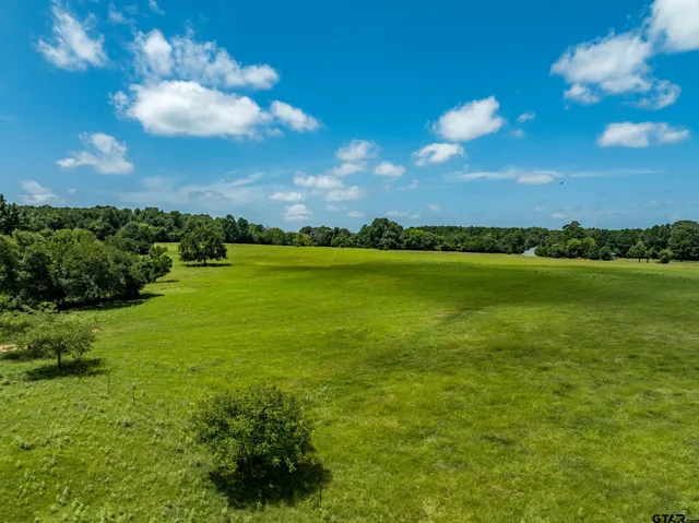 $941,500 | 1044 Acr 379, Palestine, TX 75801