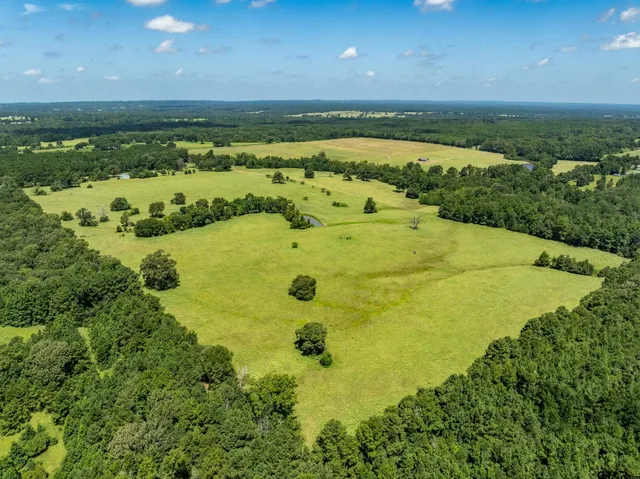 $941,500 | 1044 Acr 379, Palestine, TX 75801