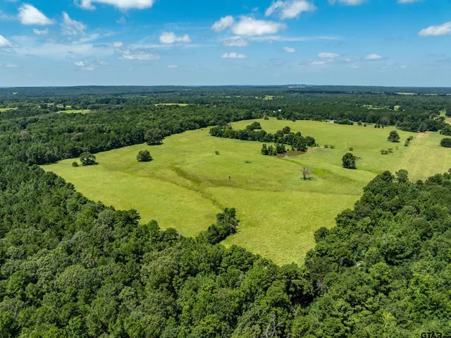 $941,500 | 1044 Acr 379, Palestine, TX 75801