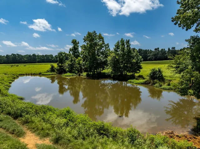 $941,500 | 1044 Acr 379, Palestine, TX 75801