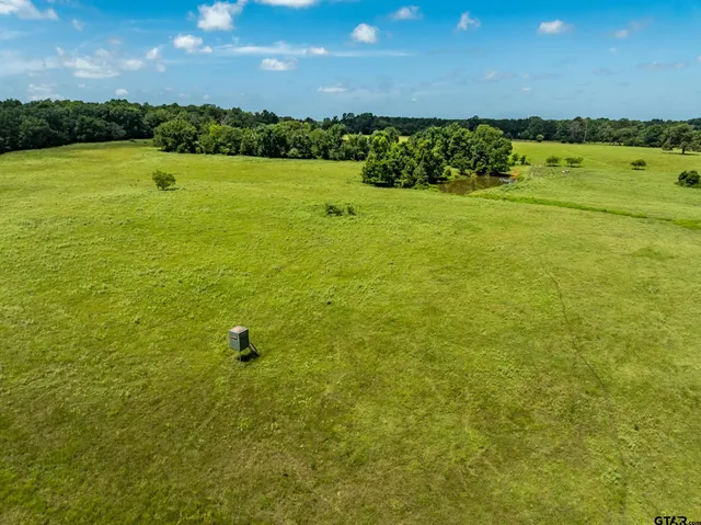 $941,500 | 1044 Acr 379, Palestine, TX 75801