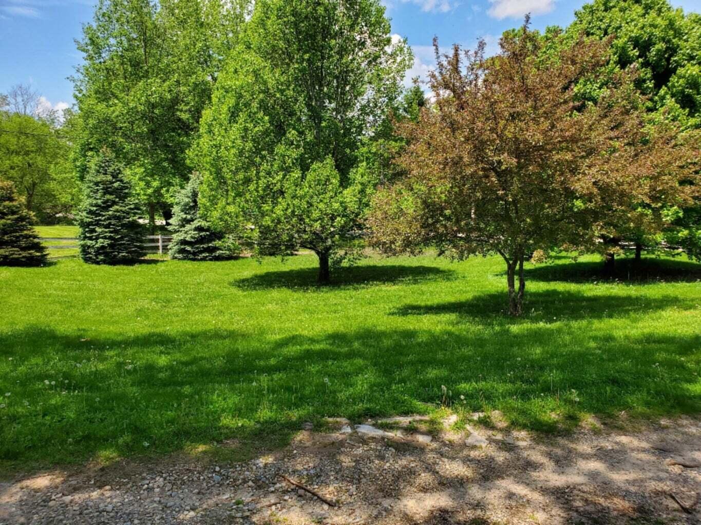 3151 East Bacon Road Hillsdale, MI 49242 - Photo 19 of 68 20220323081434621098000000-o