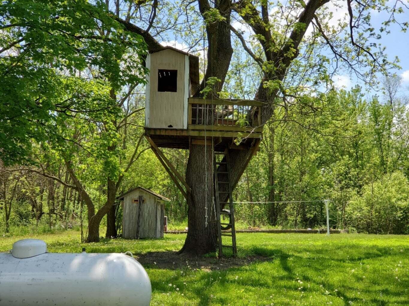 3151 East Bacon Road Hillsdale, MI 49242 - Photo 22 of 68 20220821141915498640000000-o