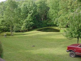 285 Wild Mountain Road Southwest Willis, VA 24380 - Photo 8 of 11 a view of yard with swimming pool and green space