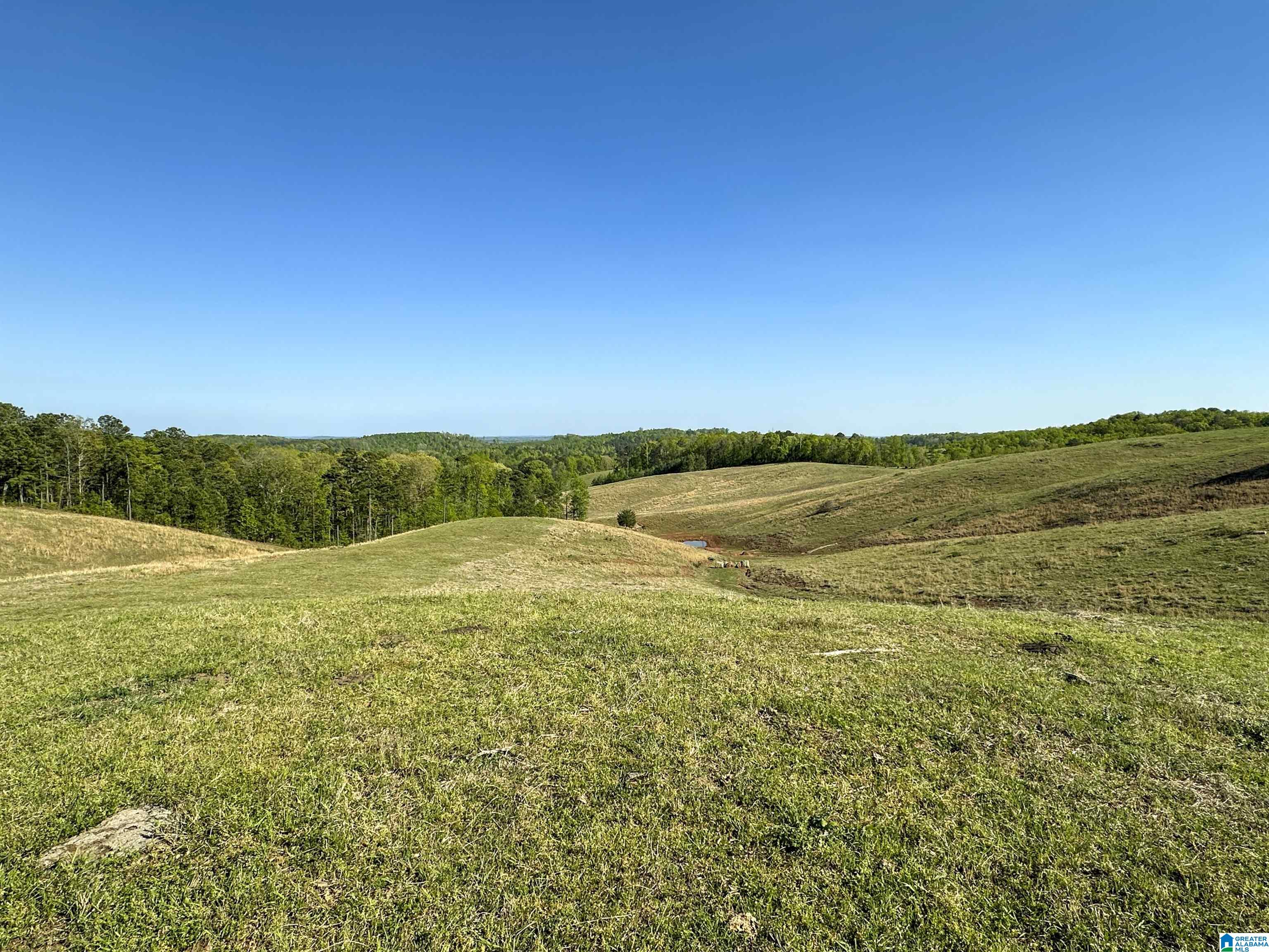 130 Kelly Road Ashland, AL 36251 - Photo 58 of 66