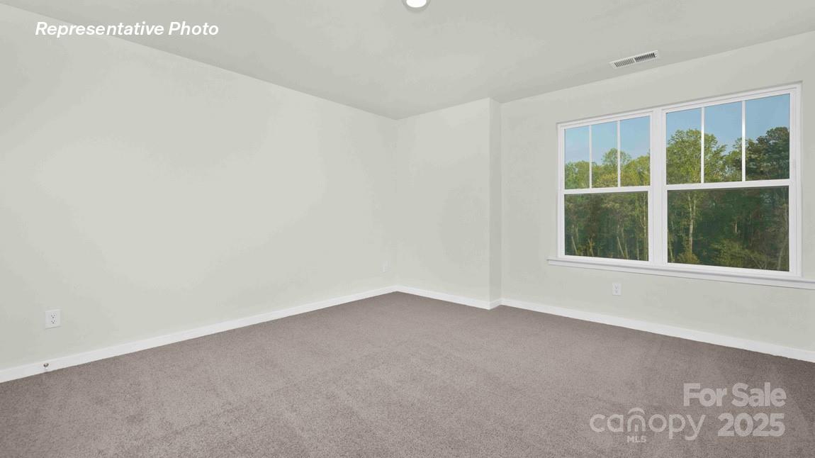 2665 Goose Fair Road Maiden, NC 28650 - Photo 15 of 27 Gallery Image 15