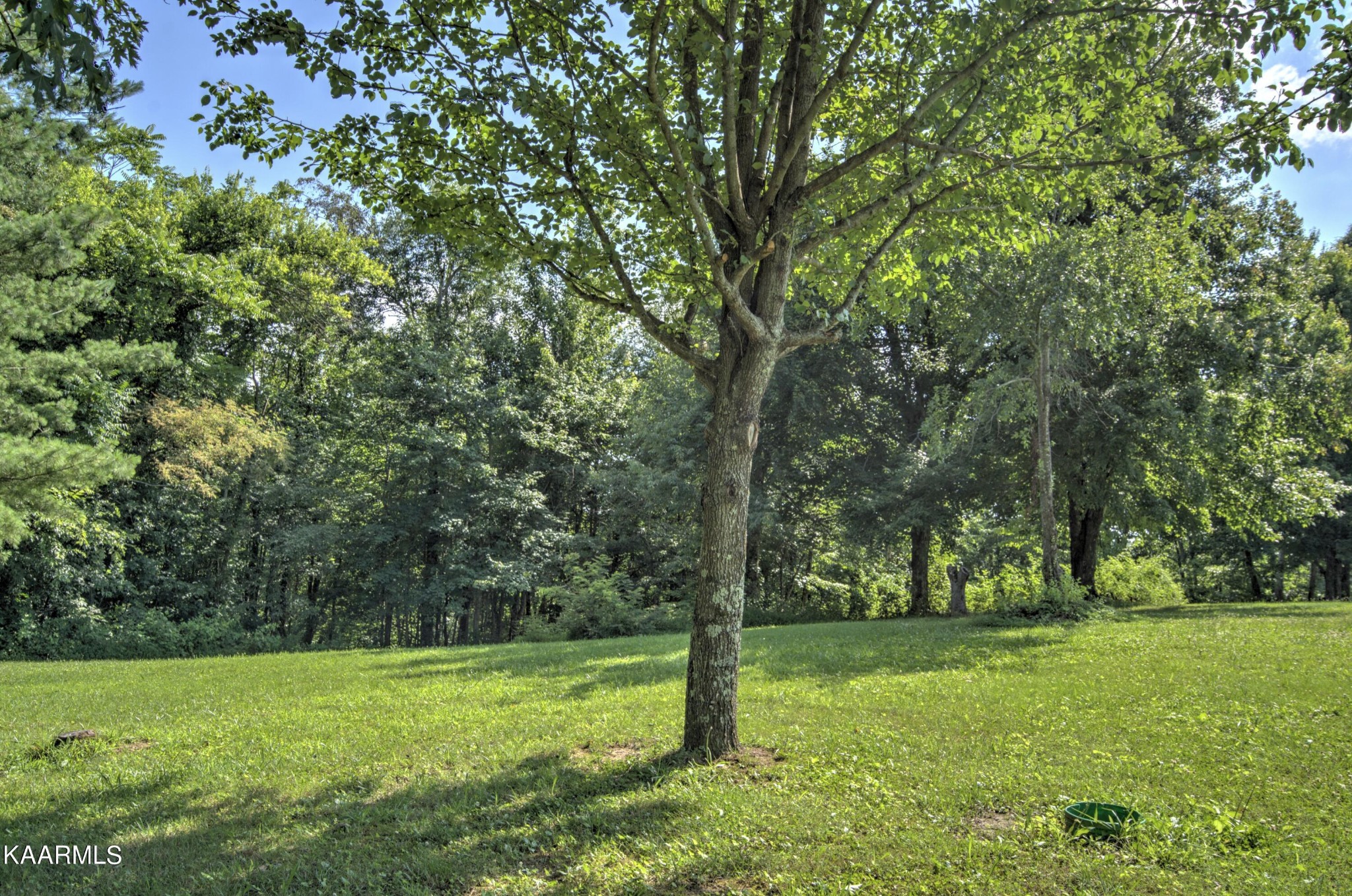 2099 Doubletop Road Jamestown, TN 38556 - Photo 8 of 38 Gallery Image 8