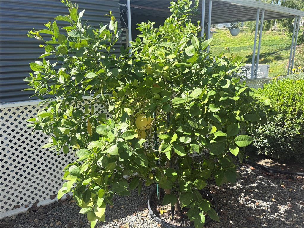 31130 South General Kearny Road, Unit 153 Temecula, CA 92591 - Photo 33 of 38 a backyard of a house