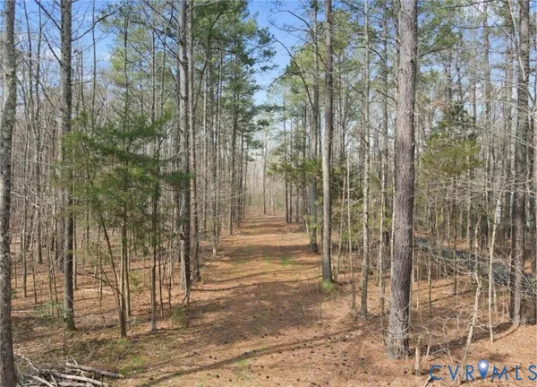 a view of a dry yard with green space and fog