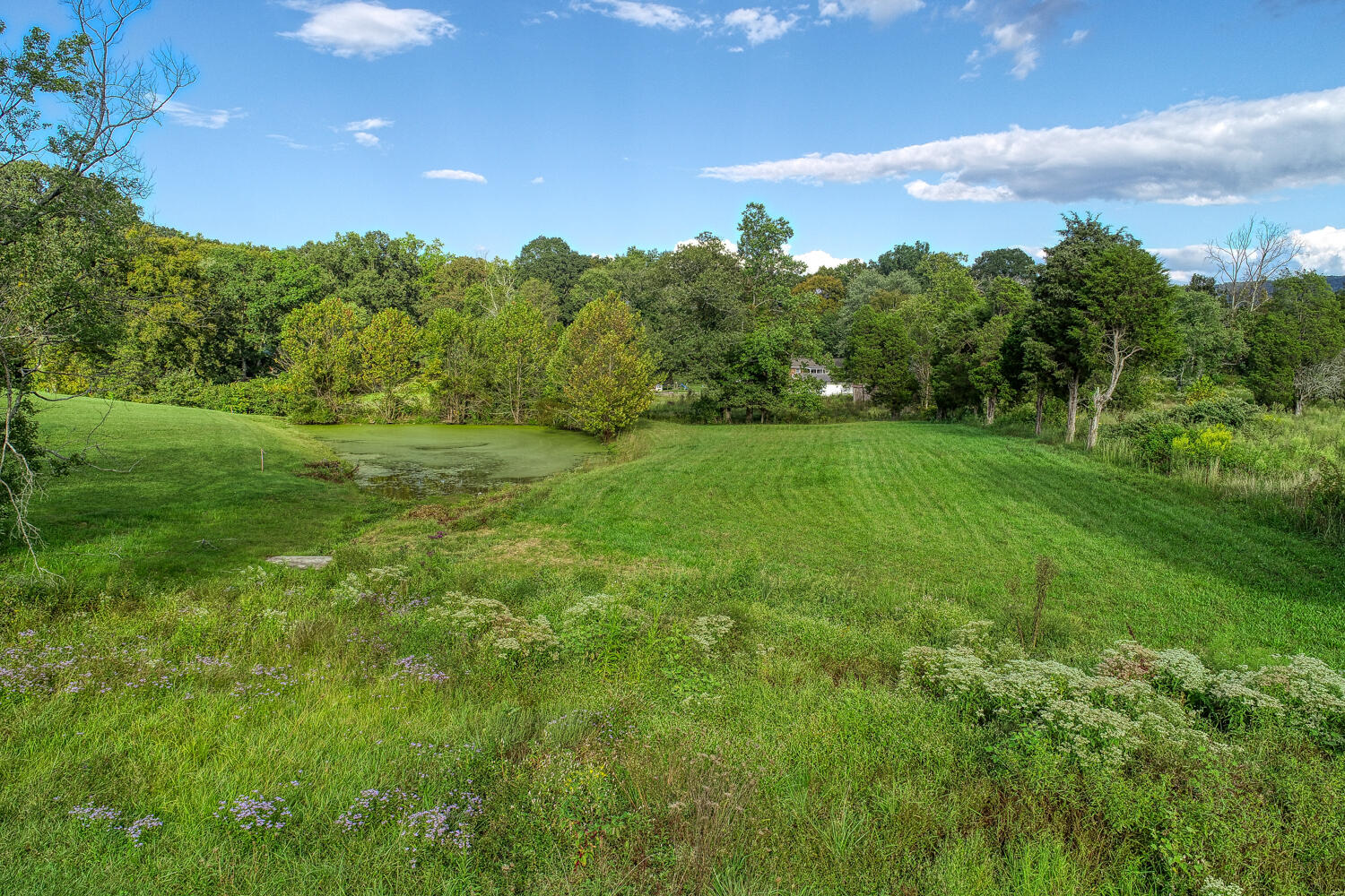 131 Church Road Church Hill, TN 37642 - Photo 28 of 109 BG. 131 Church Rd. CH MLSa (27 of 40)