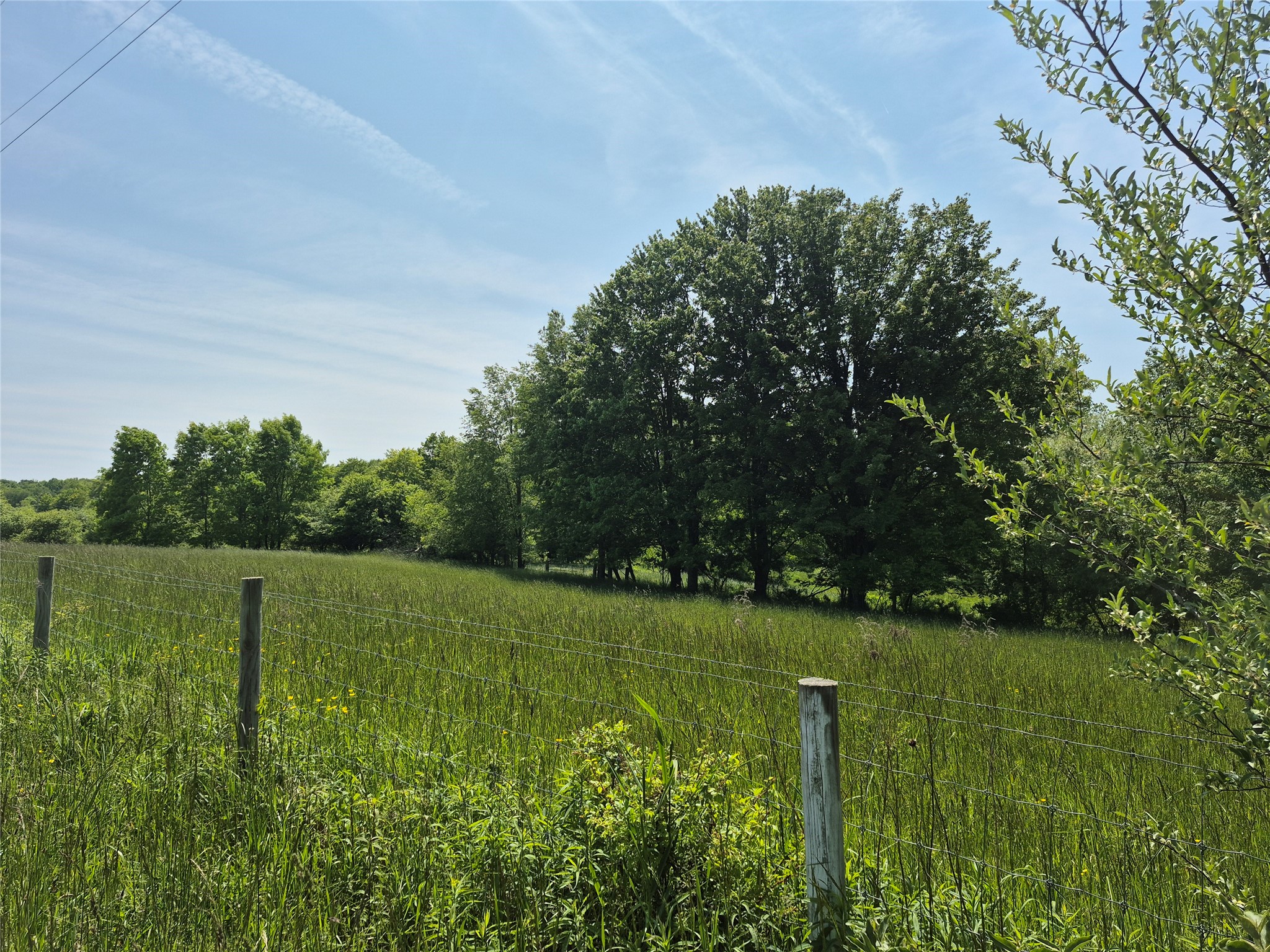 Lot2 Lot2 West Road Albion, PA 16401 - Photo 2 of 3