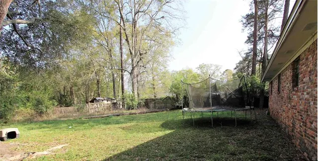 a view of a garden with a tree