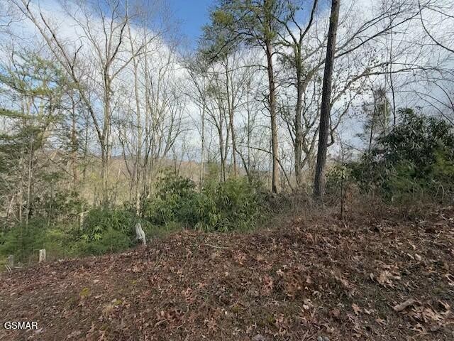 973 Ridgefield Drive Sevierville, TN 37876 - Photo 2 of 13 Gallery Image 2