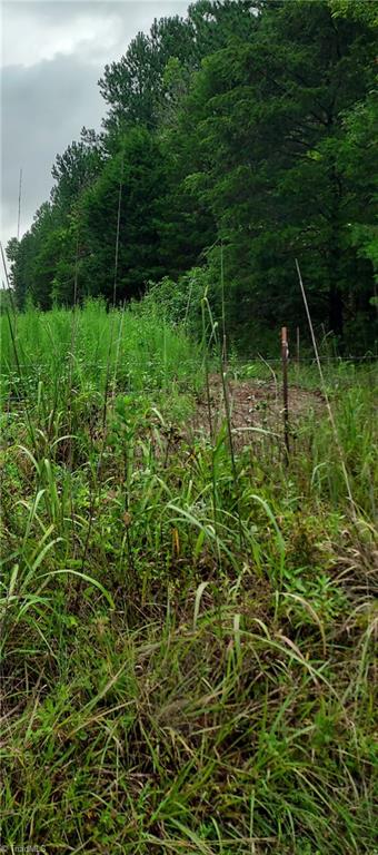 658 Frank Road Lexington, NC 27292 - Photo 3 of 4 partially cleared for farming