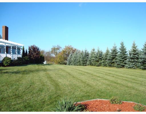 122 Spring Ridge Drive Butler, PA 16001 - Photo 15 of 18 Yard/Garden. A row of blue spruce trees provide total privacy in the back.