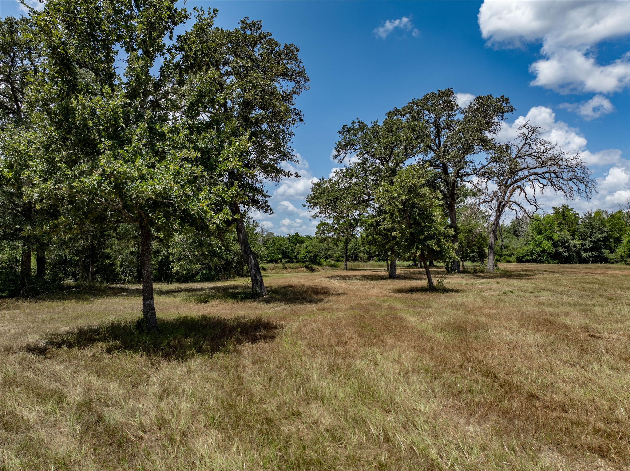 1126 Abel Road New Ulm, TX 78950 - Photo 15 of 31 Gallery Image 15