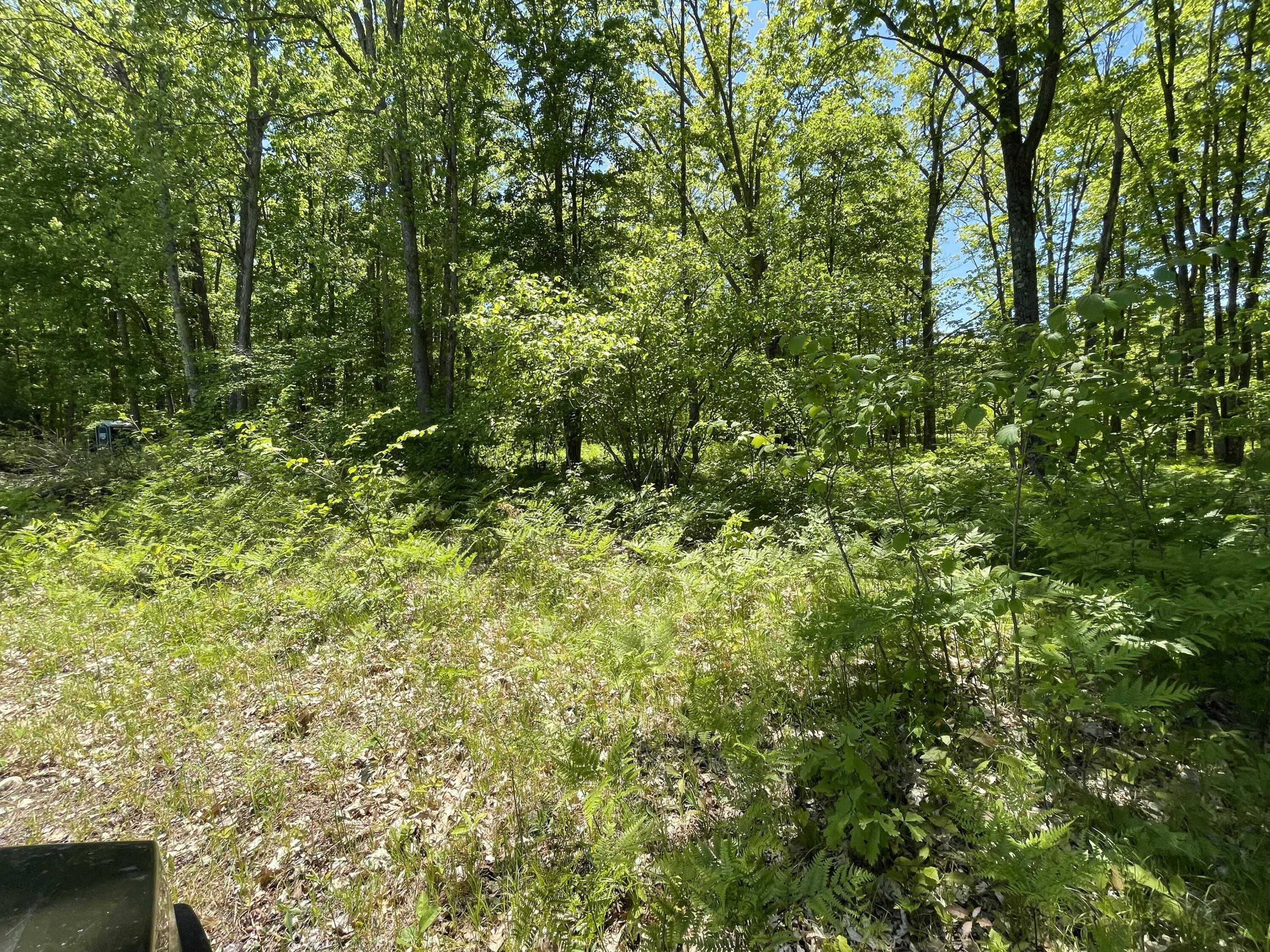 10 East Mile Road Luther, MI 49656 - Photo 19 of 40 IMG_0770