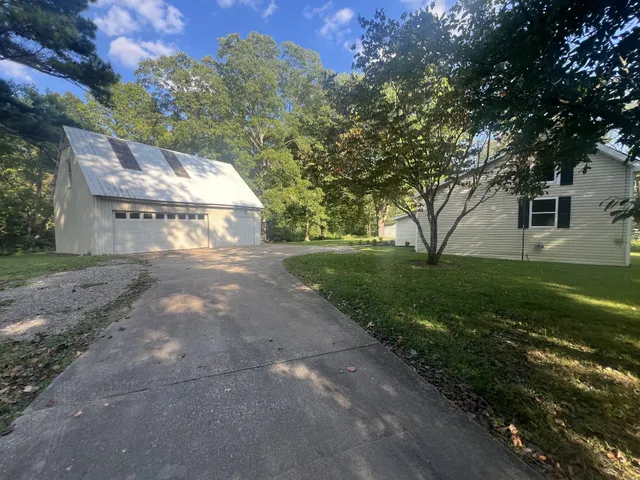 a view of a yard with plants and a large tree