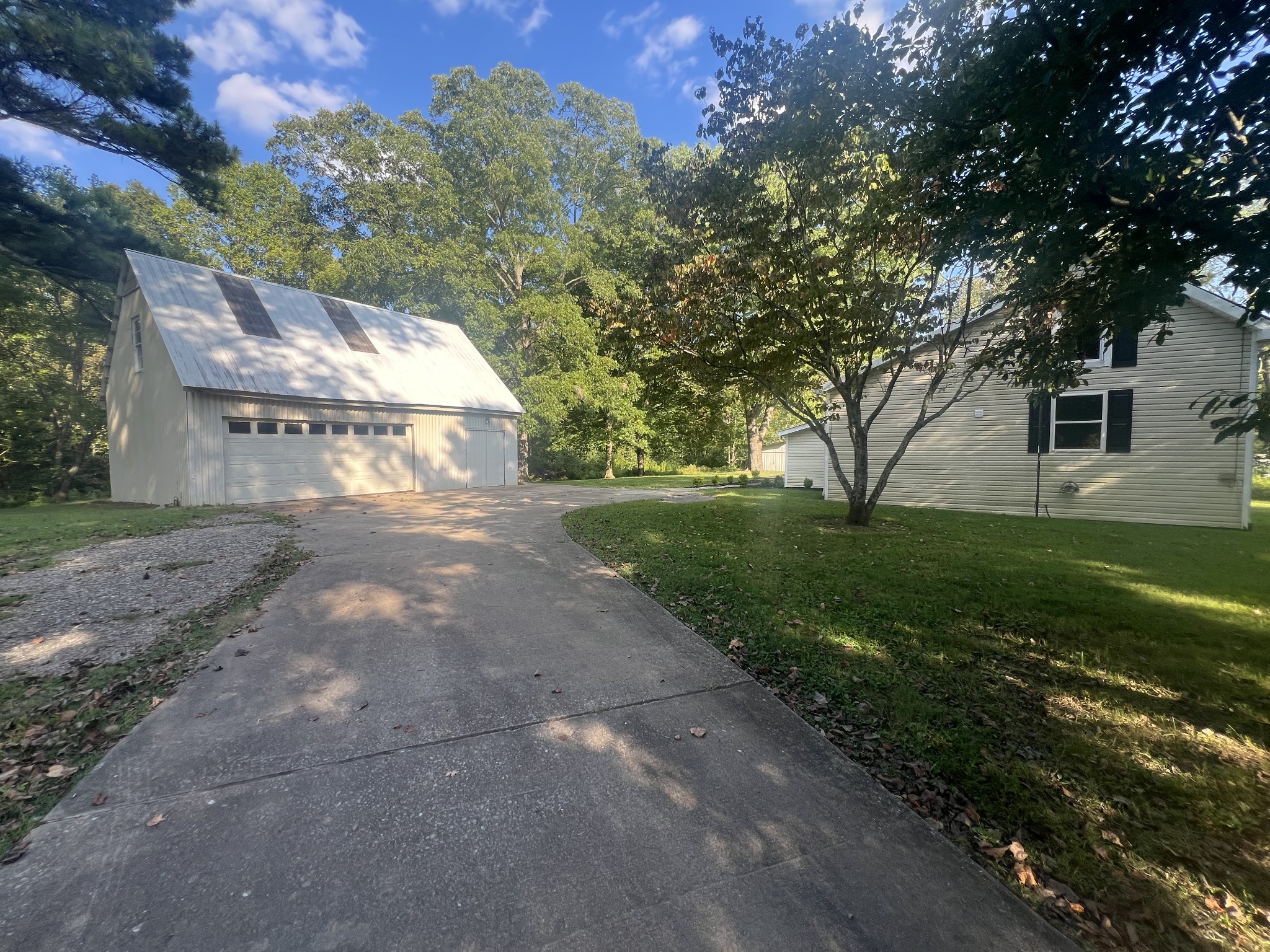 161 Woodlawn Road Pulaski, TN 38478 - Photo 3 of 46 a view of a yard with plants and a large tree