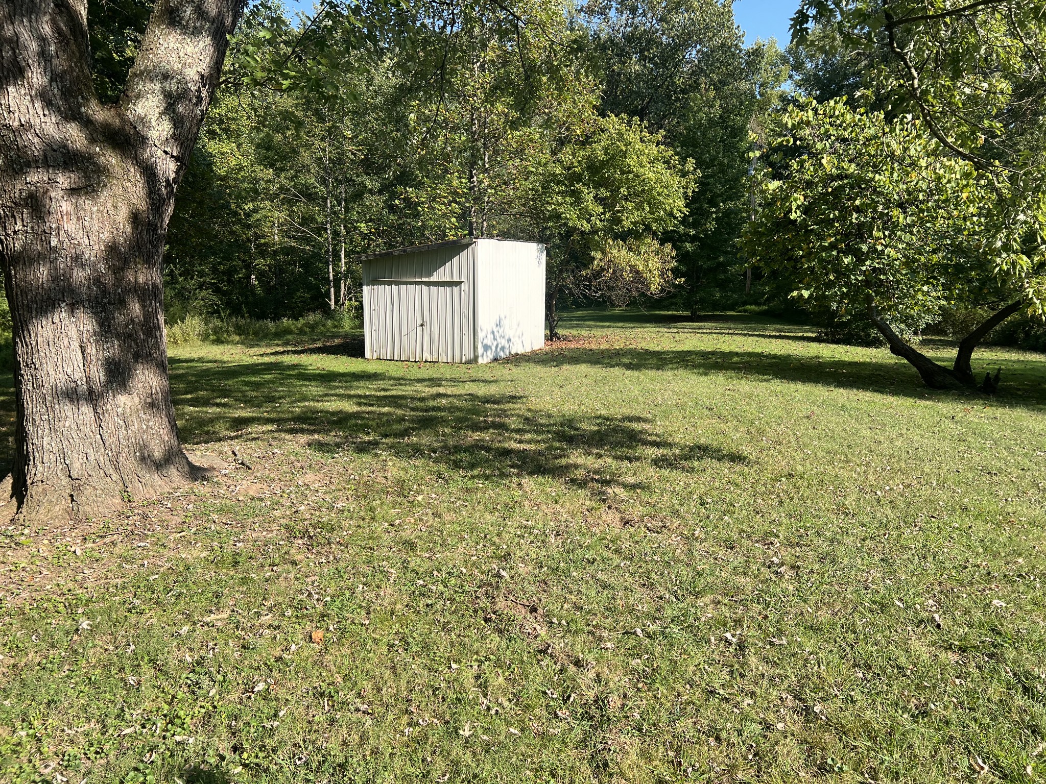 161 Woodlawn Road Pulaski, TN 38478 - Photo 33 of 46 a garden view