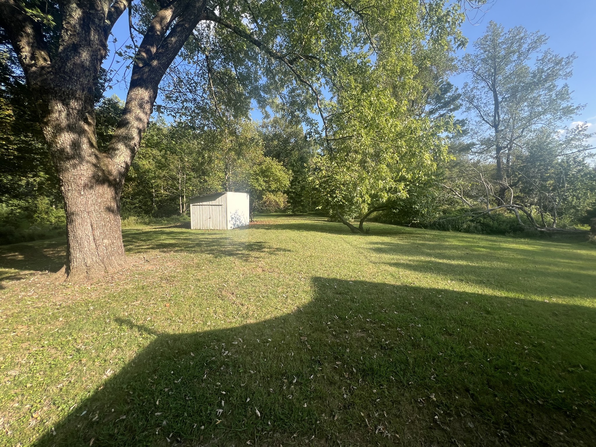 161 Woodlawn Road Pulaski, TN 38478 - Photo 35 of 46 a view of a trees with a yard