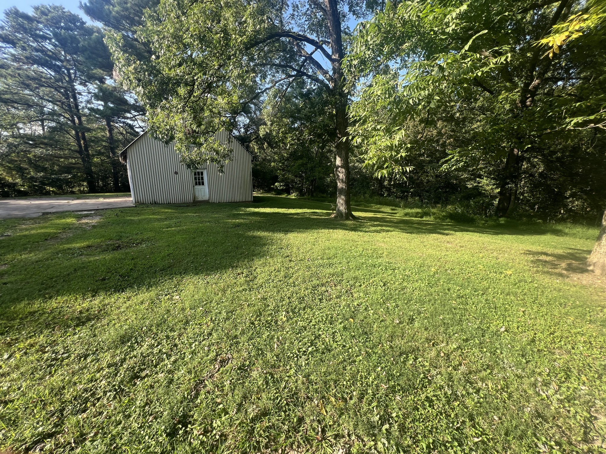 161 Woodlawn Road Pulaski, TN 38478 - Photo 36 of 46 a view of a backyard with large trees