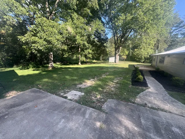 a view of a park with large trees