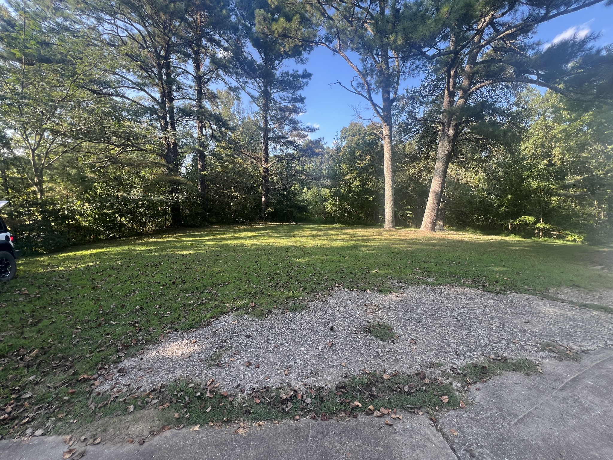 161 Woodlawn Road Pulaski, TN 38478 - Photo 38 of 46 a view of a park with large trees