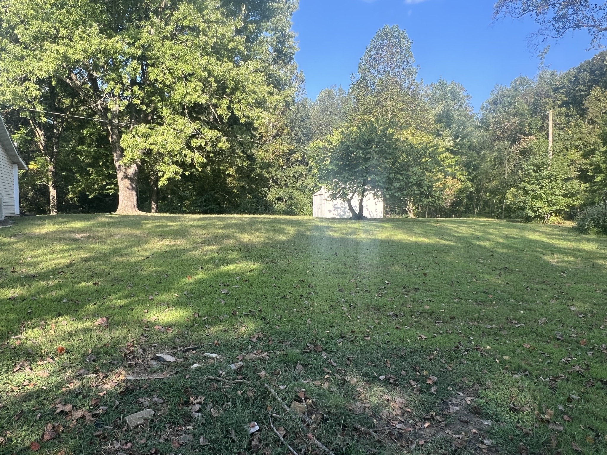 161 Woodlawn Road Pulaski, TN 38478 - Photo 43 of 46 a big yard with lots of green space and plants