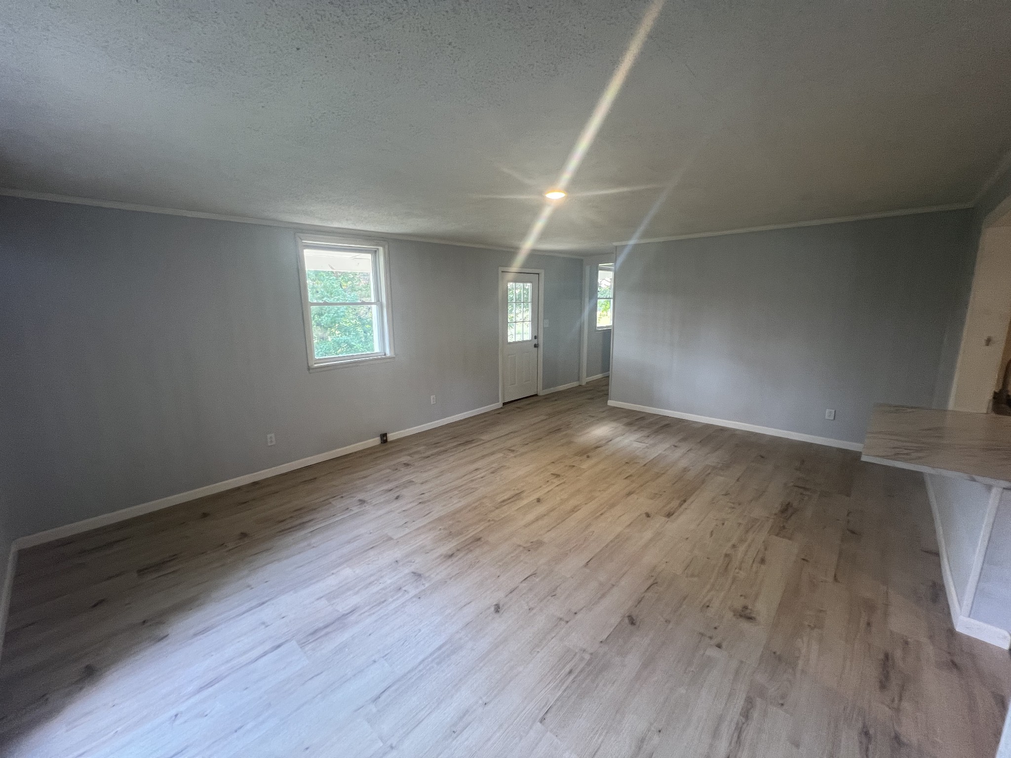 161 Woodlawn Road Pulaski, TN 38478 - Photo 5 of 46 an empty room with wooden floor and windows