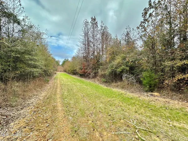 $45,000 | 8 County Road 3122, French Camp, MS 39745
