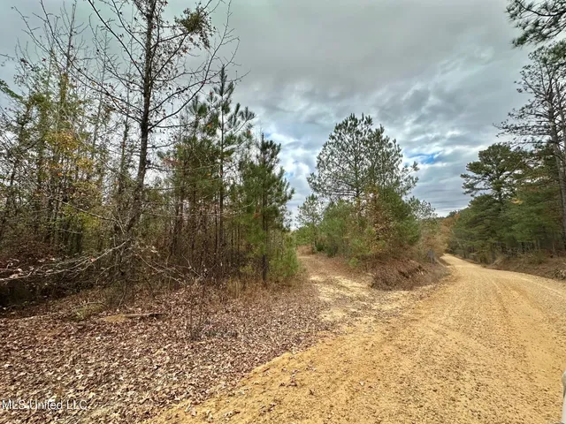 $50,000 | 8 County Road 3122, French Camp, MS 39745