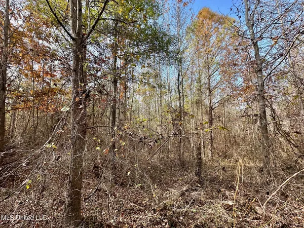 $45,000 | 8 County Road 3122, French Camp, MS 39745