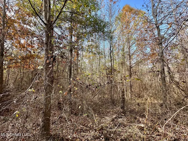 $50,000 | 8 County Road 3122, French Camp, MS 39745