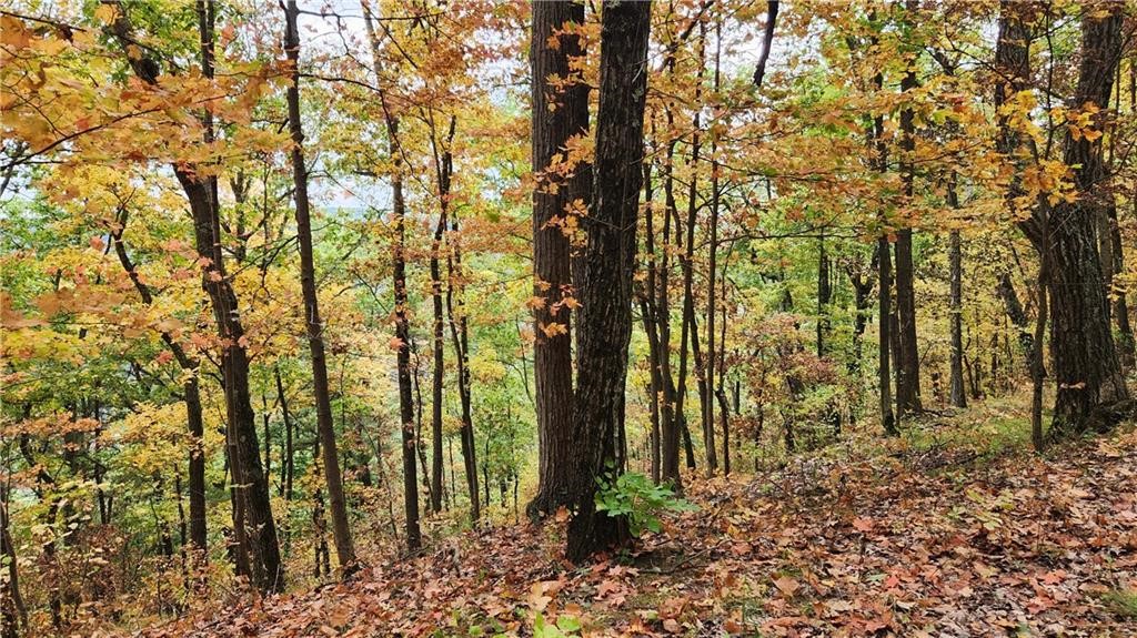 Hanyon Road Cameron, NY 14819 - Photo 22 of 34 Gallery Image 22