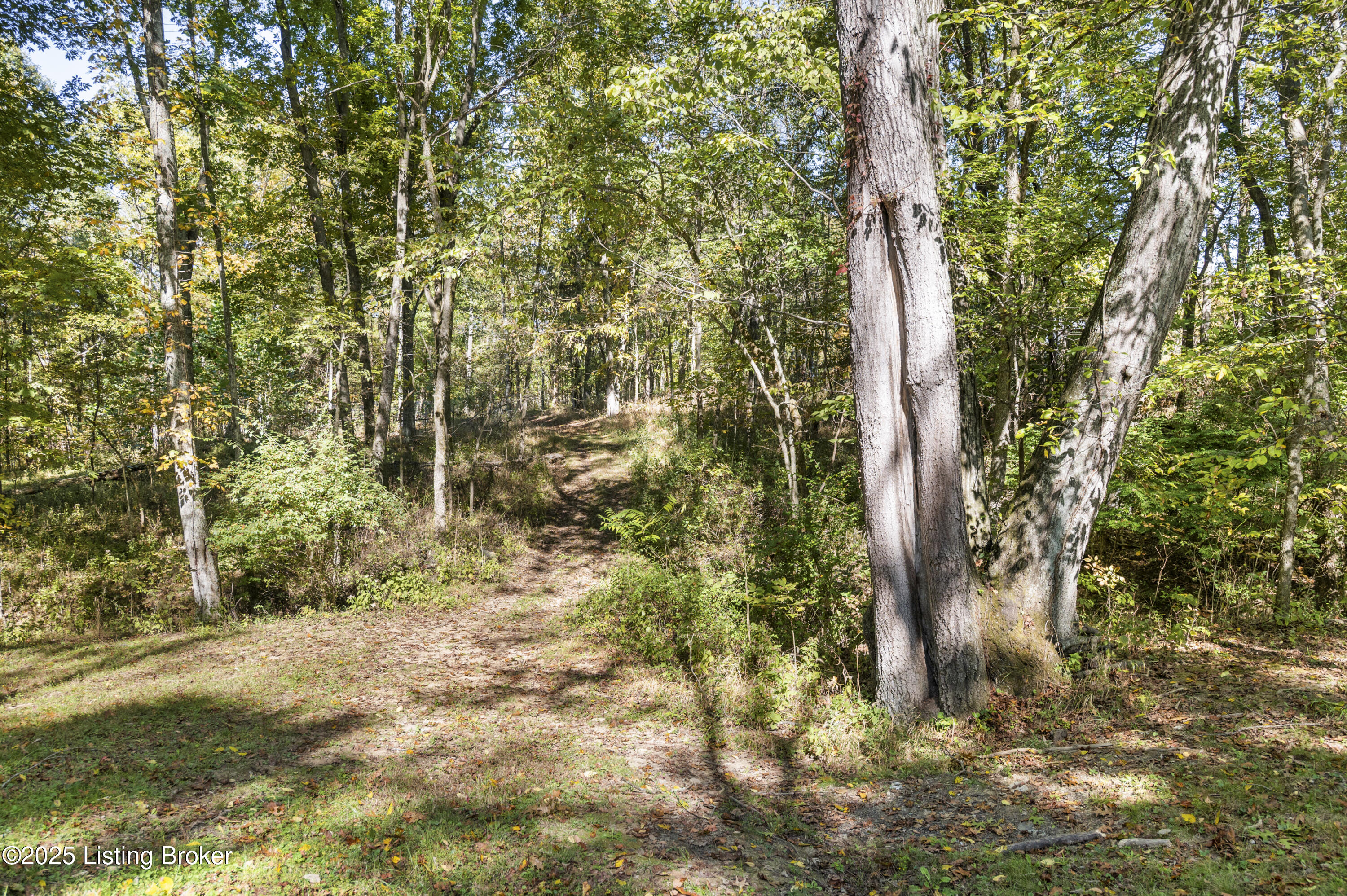 1306 Bunk Road Pleasureville, KY 40057 - Photo 47 of 86 1306BunkRd-46