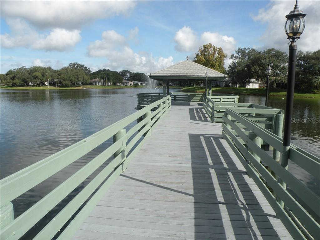 10725 Tonapa Loop Port Richey, FL 34668 - Photo 16 of 19 Gallery Image 16