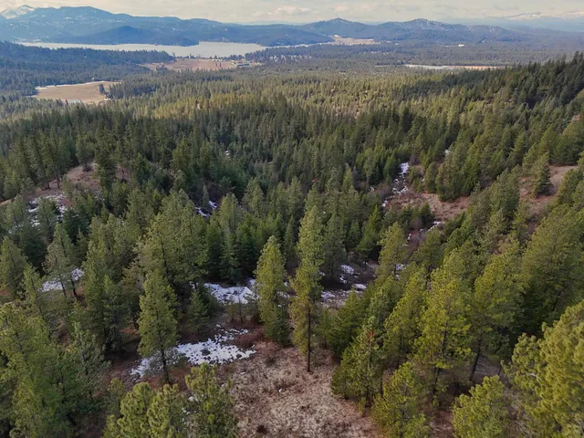 $89,000 | 4-xxx Ali Vista Way, Loon Lake, WA 99148