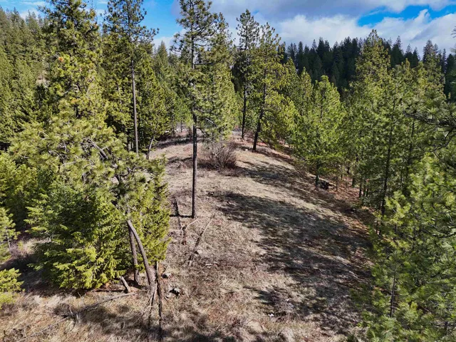 $89,000 | 4-xxx Ali Vista Way, Loon Lake, WA 99148
