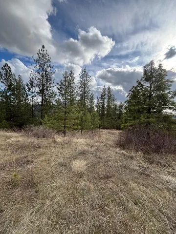 $89,000 | 4-xxx Ali Vista Way, Loon Lake, WA 99148