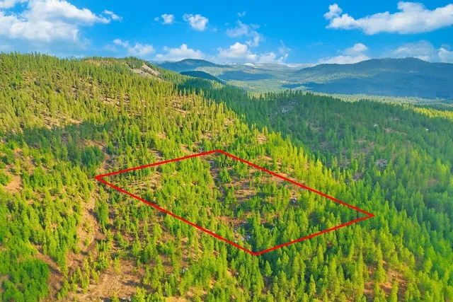 $89,000 | 4-xxx Ali Vista Way, Loon Lake, WA 99148